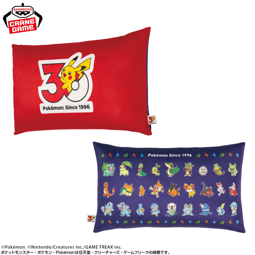 30th Anniversary cushion