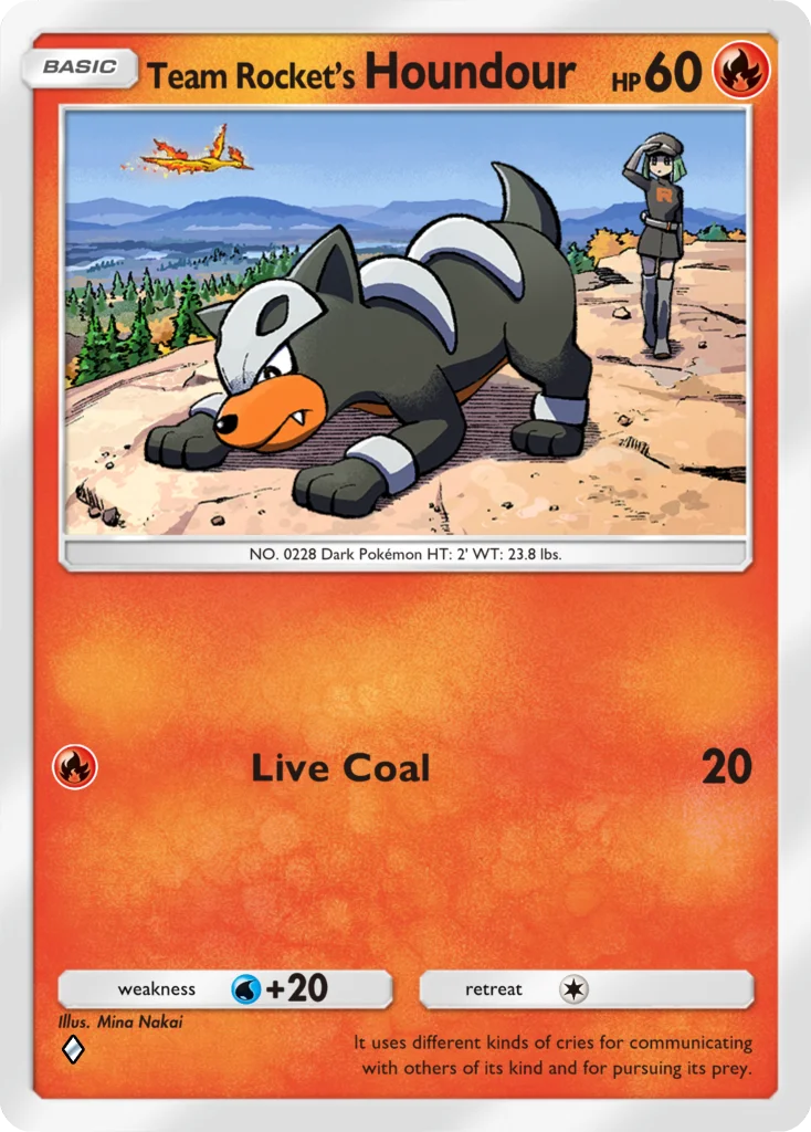 Le Chien de la Team Rocket
